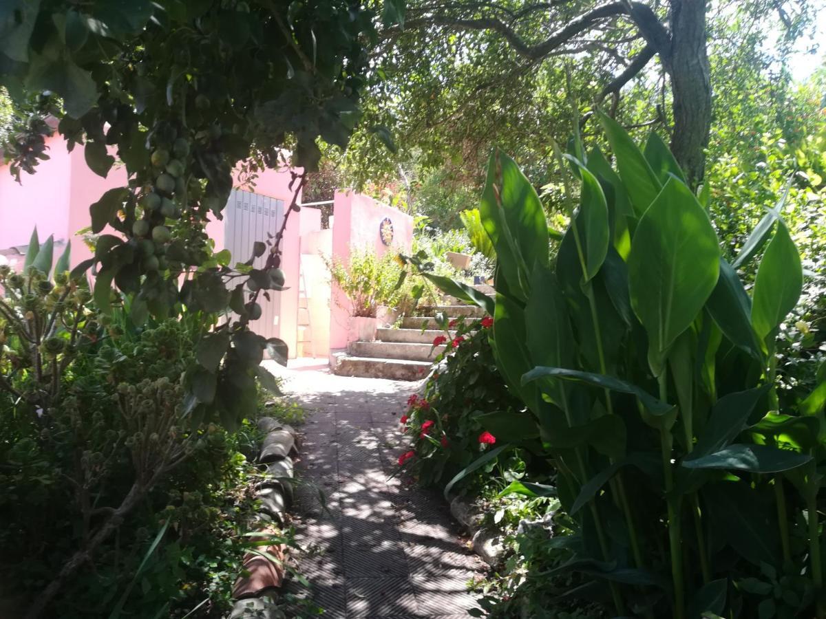 Affitta Camere Casa Delle Rose 빌라노바 몬텔레오네 외부 사진