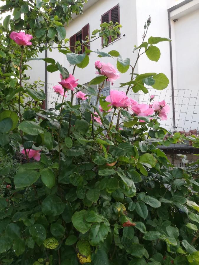 Affitta Camere Casa Delle Rose 빌라노바 몬텔레오네 외부 사진